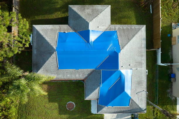 Best Storm Damage Roof Repair  in New California, OH