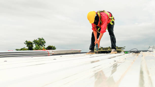 Best Roof Moss and Algae Removal  in New California, OH