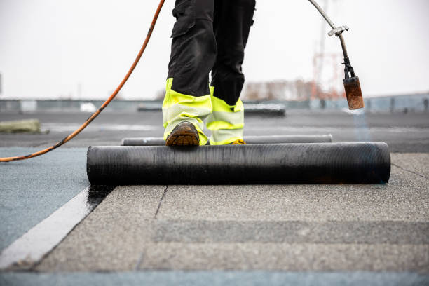 Best Gutter Installation and Repair  in New California, OH